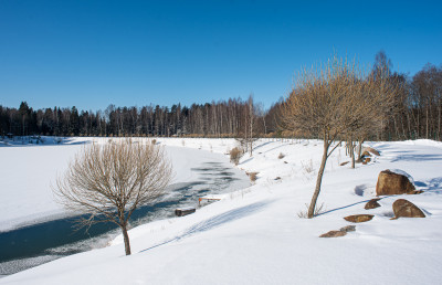 Арт-усадьба «Веретьево»