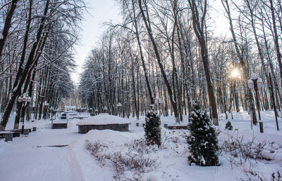 Дмитров, Парк «Березовая роща»
