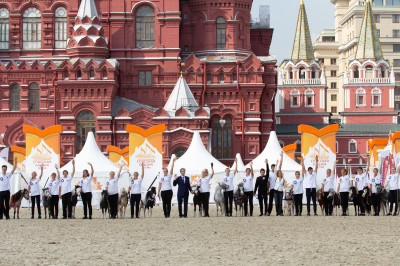 Клуб миниатюрных лошадей в КСК «Созидатель»