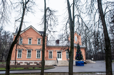 Видное, усадьба Тимохово-Салазкино