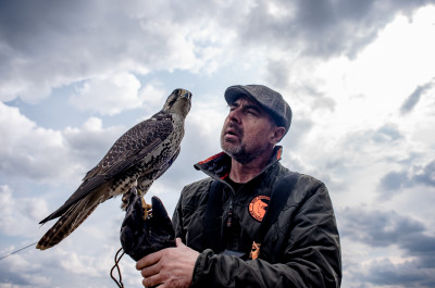 Центр соколиной охоты