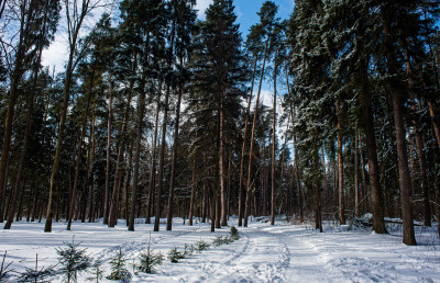 Парк Волхонка