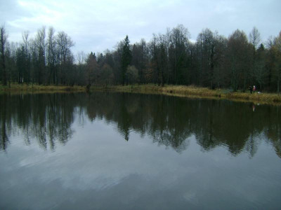 Усадьба Апраксиных. Рыбалка