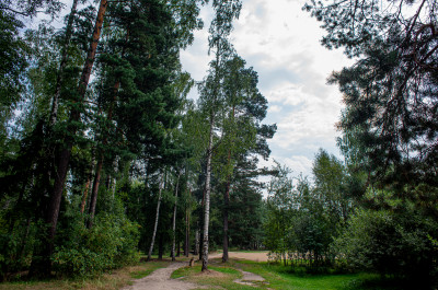 Черноголовка, озеро Северное