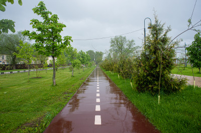 Солнечногорск, озеро Сенеж