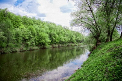 База отдыха «Сатурн»