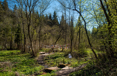 Киндяковский (Шутов) камень