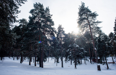 Парк в Жуковском