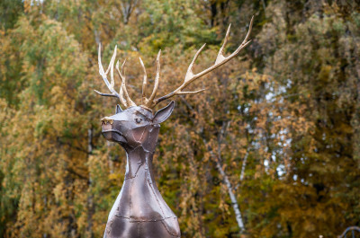 Лобня, городской парк