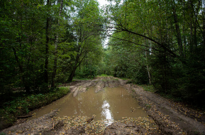 Дубна, дорога к загадочному шару около Дубны