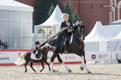 Клуб миниатюрных лошадей в КСК «Созидатель»