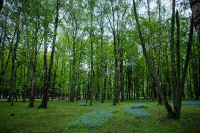 Солнечногорск, Парк Культуры и отдыха