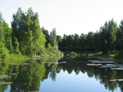 Санаторий «Сосны»