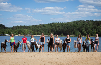 Клуб миниатюрных лошадей в КСК «Созидатель»