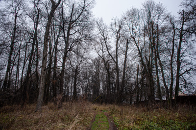 Усадьба Пущино на Наре