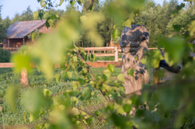 Комплекс отдыха «Велесов хутор»