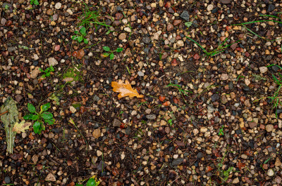 Музей дороги в Сергиевом Посаде