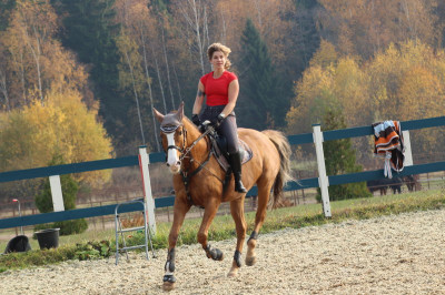 Конноспортивный клуб «Эквилэнд»