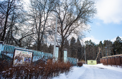 Усадьба Волхонка