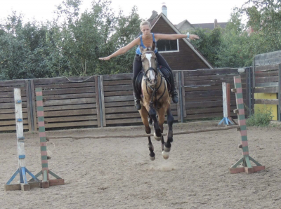 «Игнатовские конюшни»