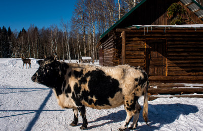 Арт-усадьба «Веретьево»
