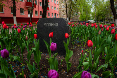 Люберцы, Памятник Воинам, Погибшим В Локальных Конфликтах