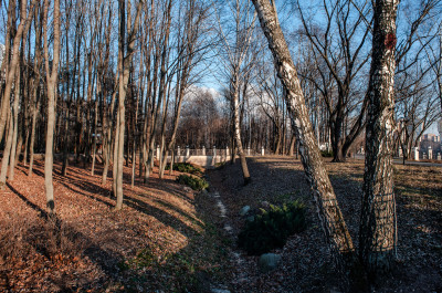 Химки, парк культуры и отдыха имени Л.Н. Толстого