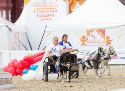 Клуб миниатюрных лошадей в КСК «Созидатель»