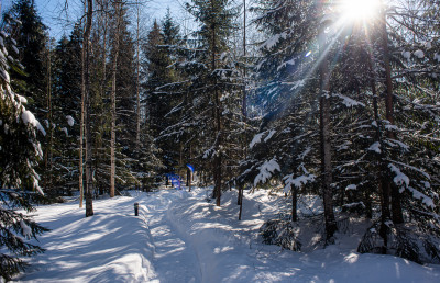 Арт-усадьба «Веретьево»