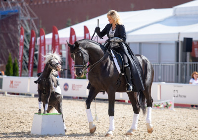 Клуб миниатюрных лошадей в КСК «Созидатель»