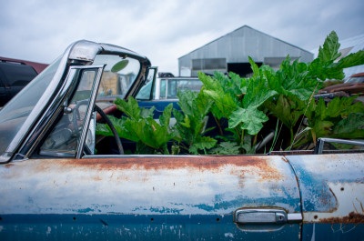 Блог-тур по Можайску