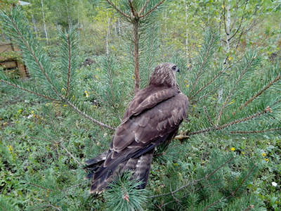 Зооцентр «Святополе»