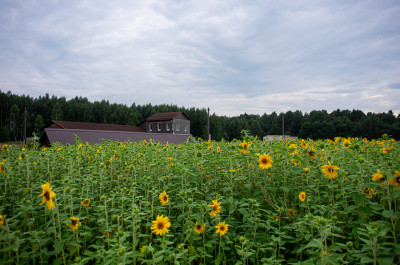 Блог-тур по Можайску