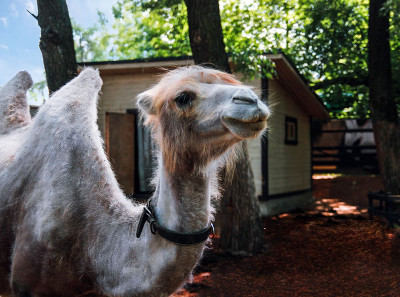 Яхт-клуб «Ново-Рождественно»