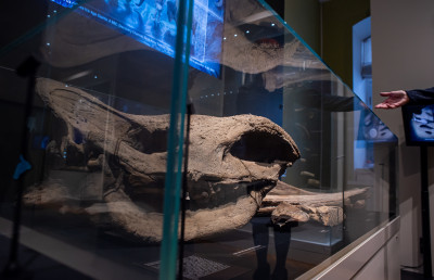 Музей «Зарайский кремль»