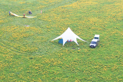 Летный клуб «Воздушный конь»