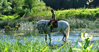 Конный клуб «Парк Рождественно»