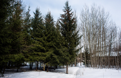 Заброшенный торфобрикетный завод в Мельчевке