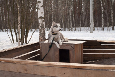Этнокультурный комплекс «Хаски парк»