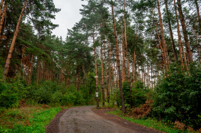 Кожинский карьер