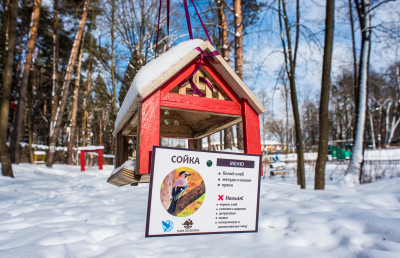 Парк Волхонка