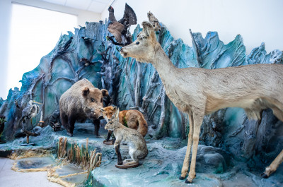 Раменский историко-художественный музей