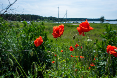 Луховицы, голубые озёра