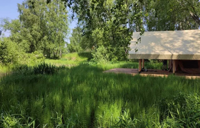 Глэмпинг OneVillage