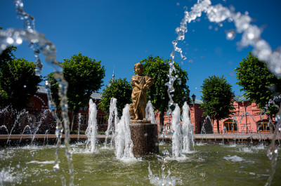 Клин, Девочка-грибница