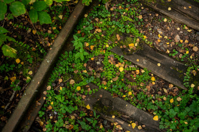 Заброшенная железнодорожная ветка в «Лосином острове»