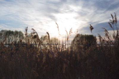 Ретритный центр «Йога Дача»