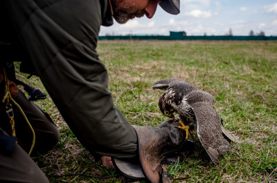 Центр соколиной охоты