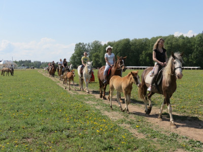 Конноспортивный клуб «Баллада»