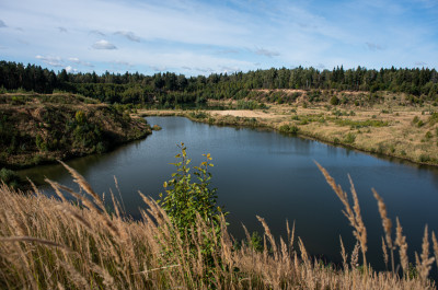 Карьер в Голыгино